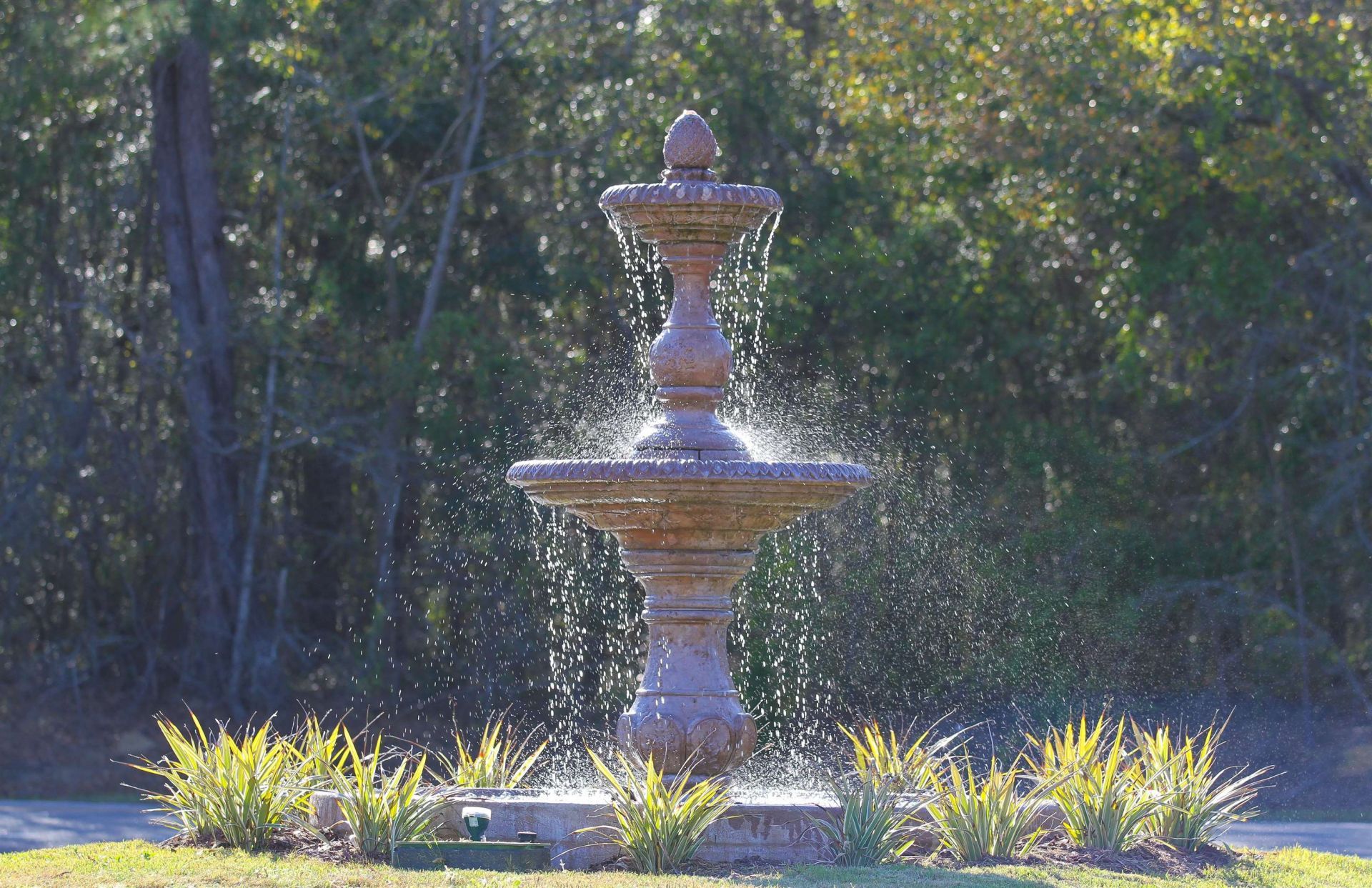 300 Lagrange Rd.  Photo 12