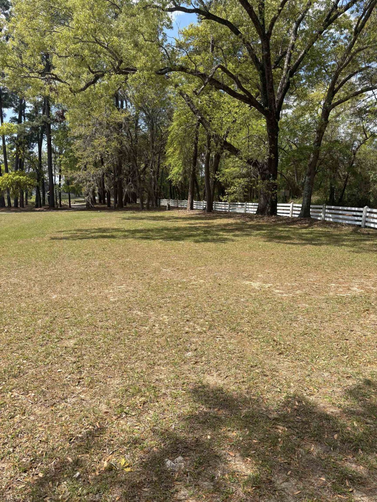 300 Lagrange Rd.  Photo 5