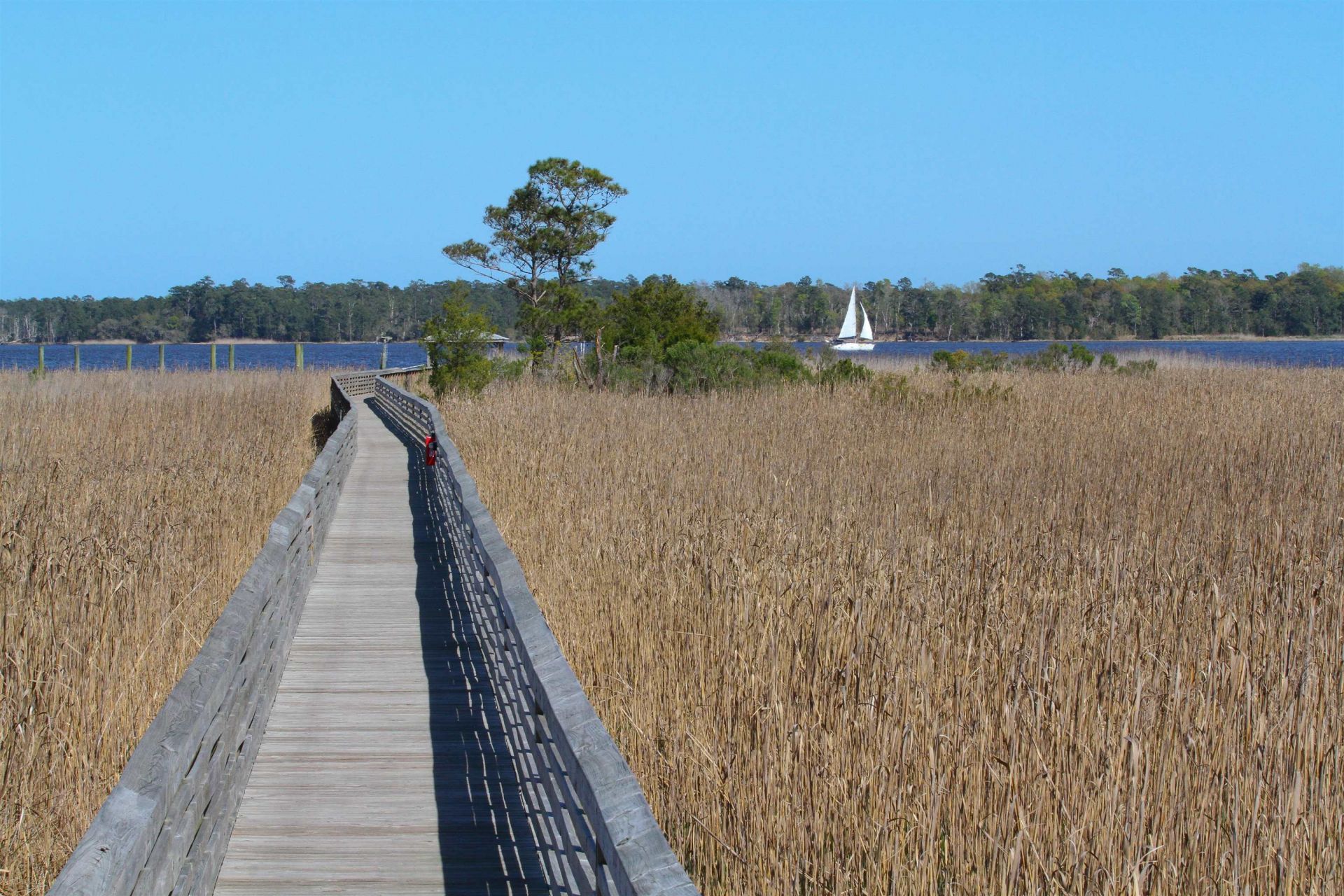 300 Lagrange Rd.  Photo 9