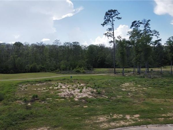 TBD CYPRESS Cove, Springfield, LA 70462