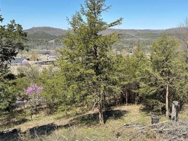 9 QuailRun Lane , Holiday Island, AR 72631