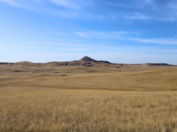 Parcel #35 CISCO LN, Caputa, SD 57725