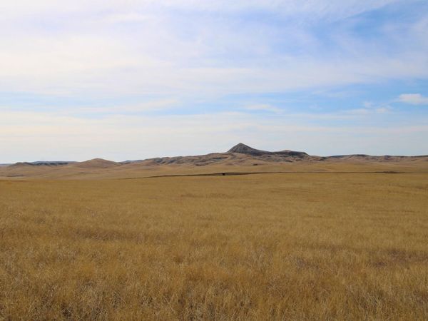 Parcel #33 CISCO LN, Caputa, SD 57725