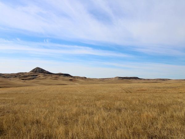Parcel #38 CISCO LN, Caputa, SD 57725
