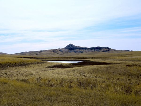 Parcel #41 CISCO LN, Caputa, SD 57725