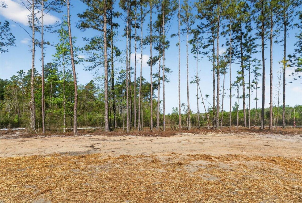 2652 Burlington Road Photo 37