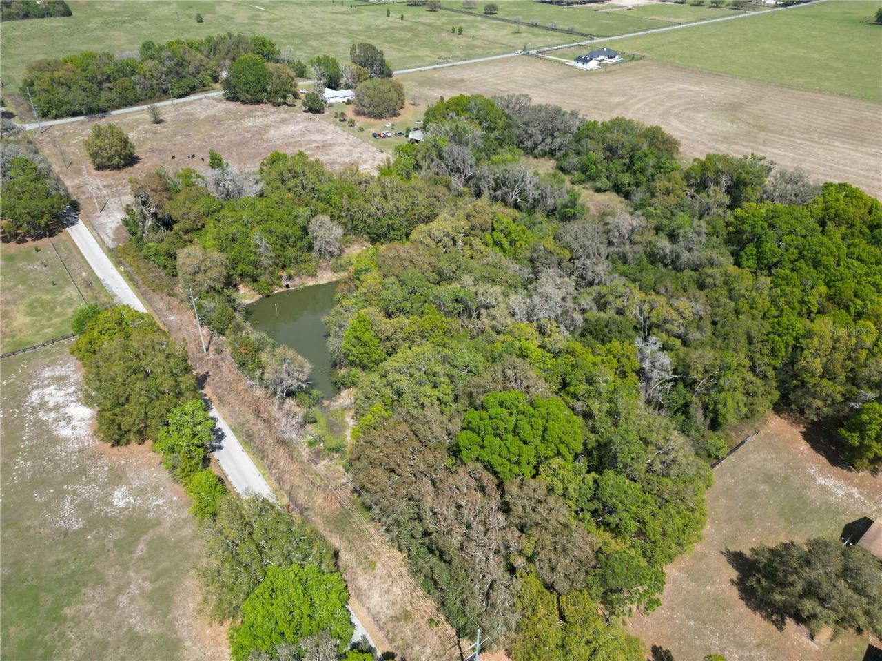 3095 County Road 202 , Oxford, FL 34484 Photo