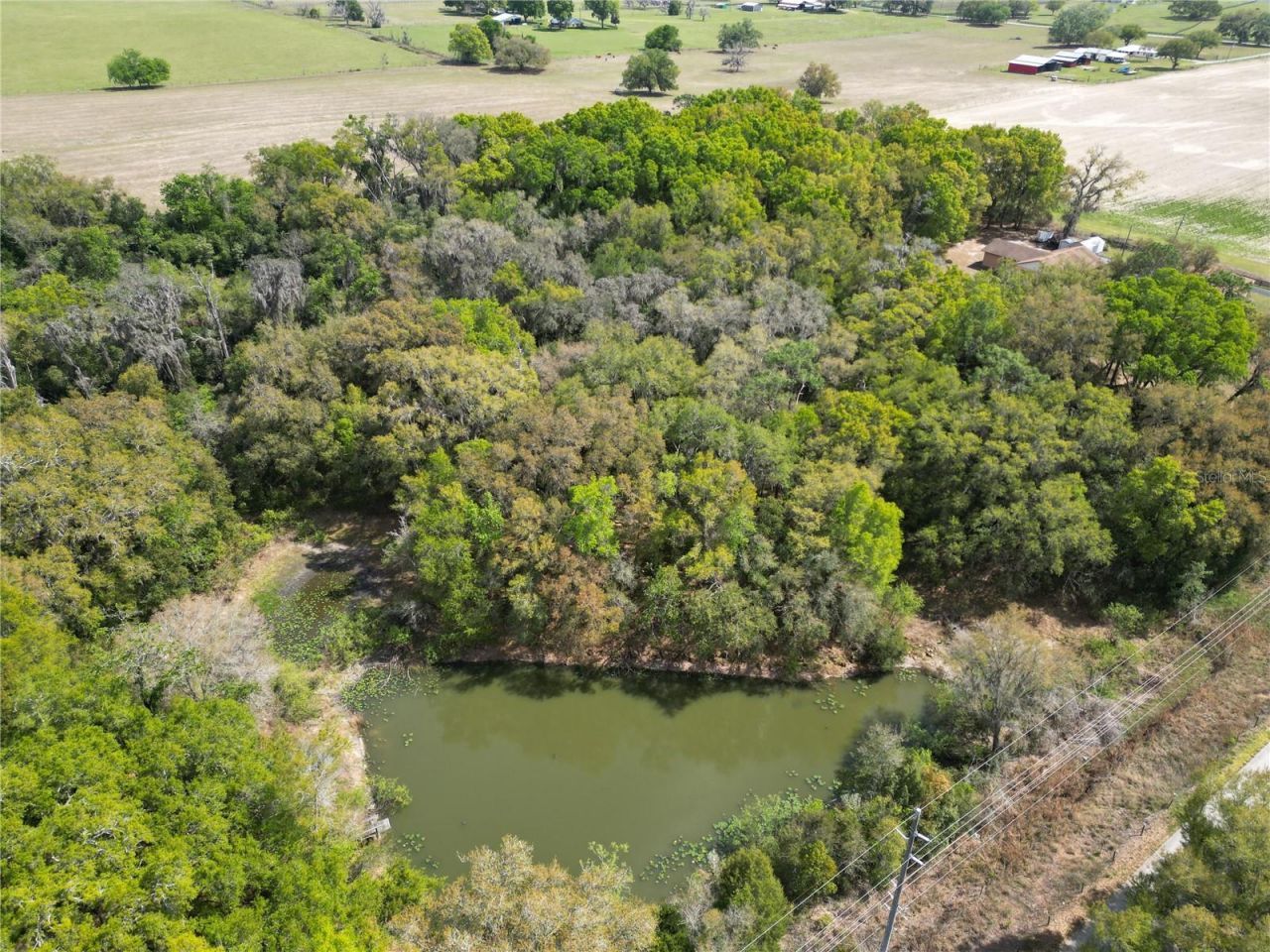 3095 County Road 202 , Oxford, FL 34484 Photo