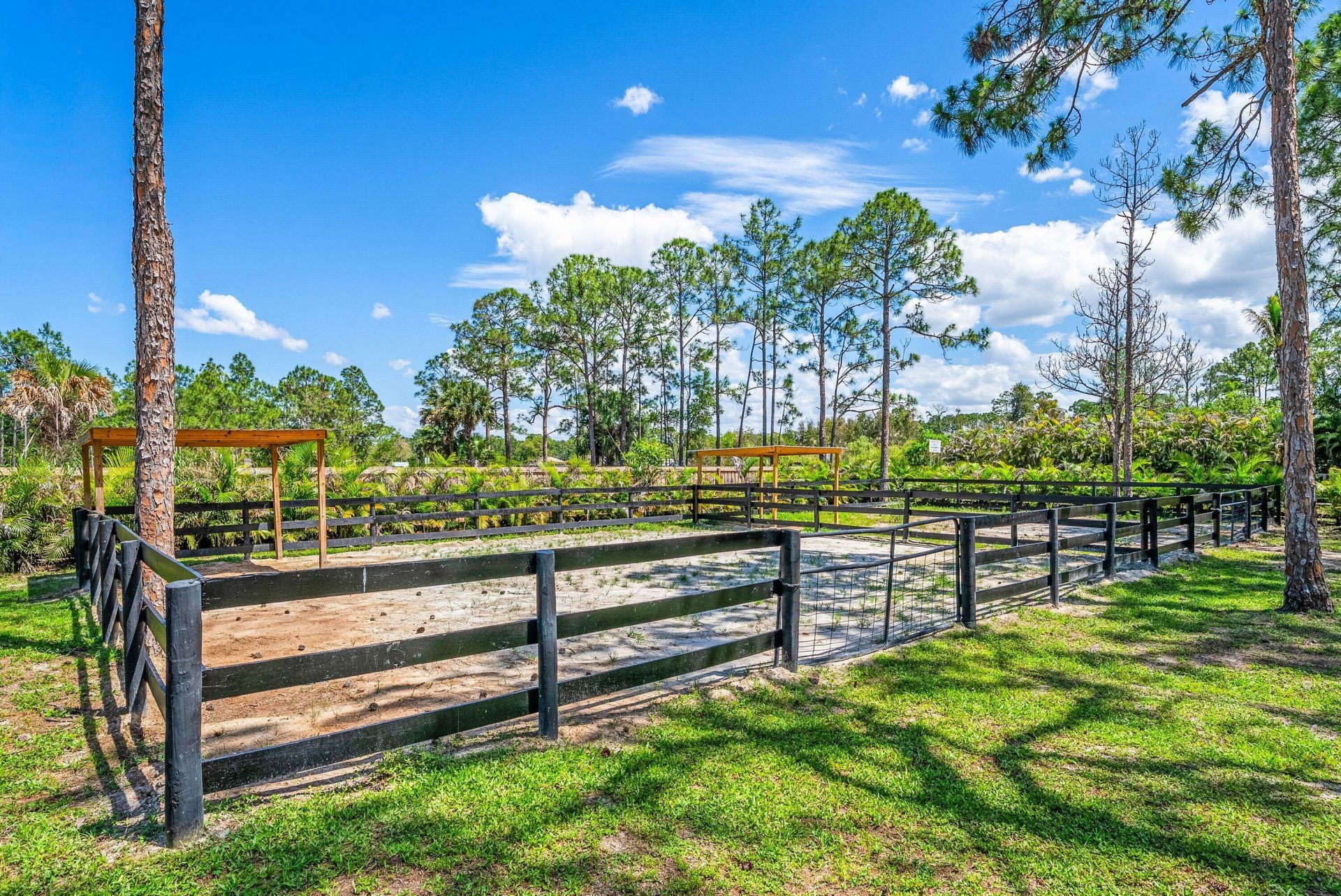 16105 Temple Boulevard, The Acreage, FL 33470 Photo
