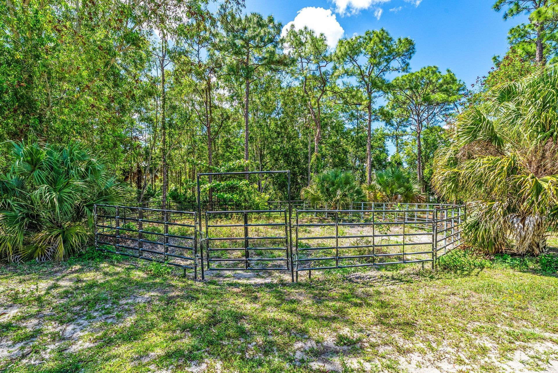 16105 Temple Boulevard, The Acreage, FL 33470 Photo
