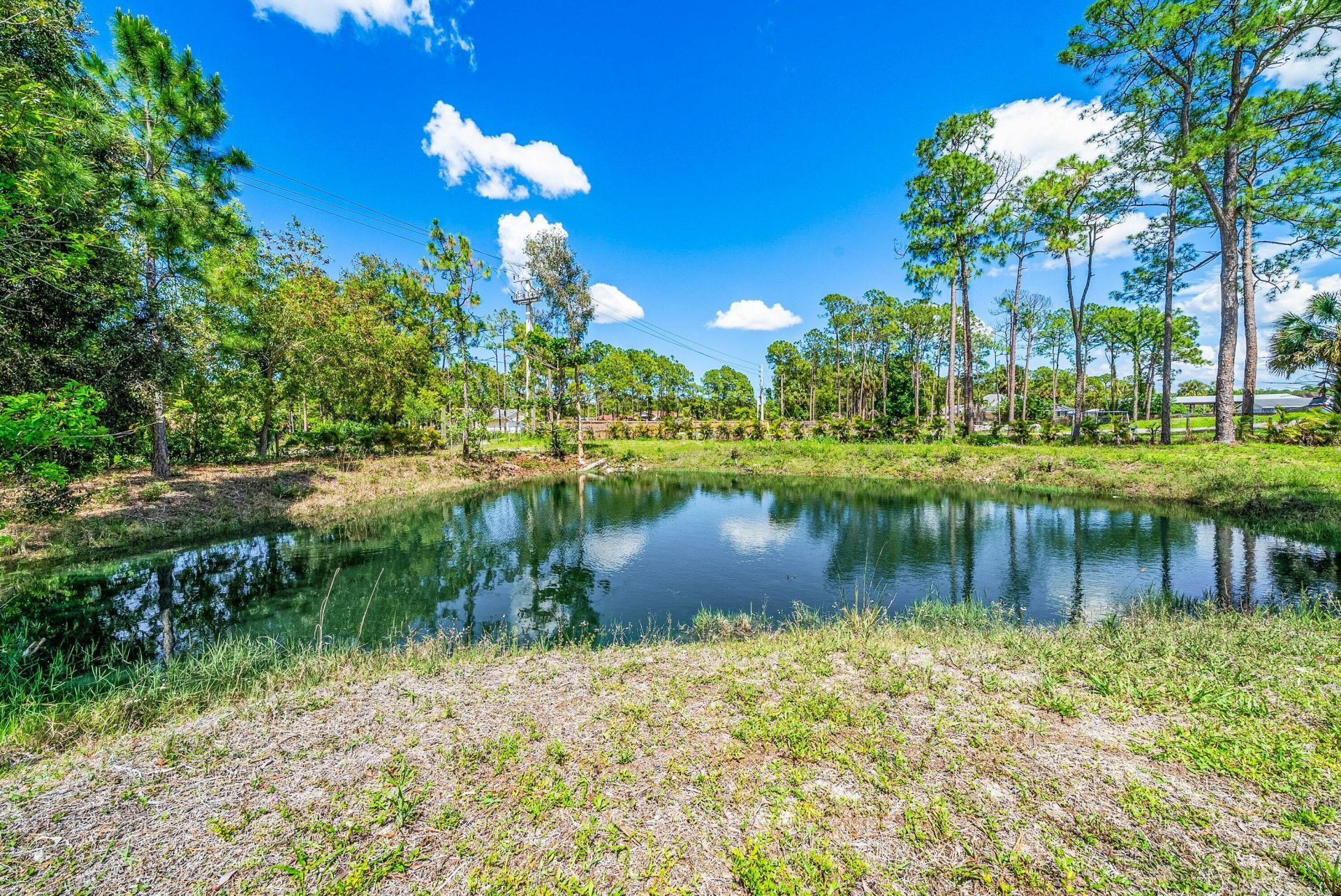 16105 Temple Boulevard, The Acreage, FL 33470 Photo