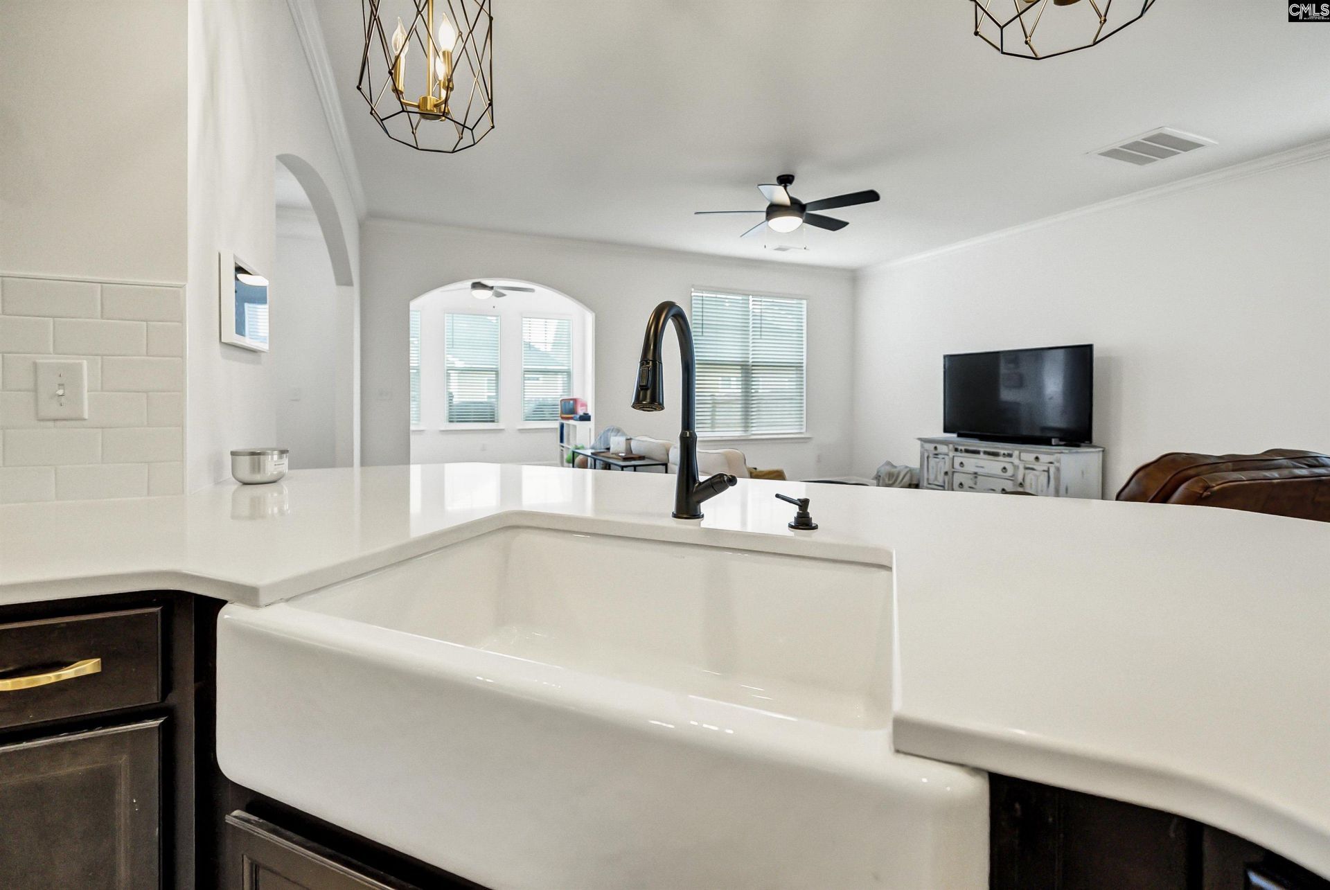 924 Windchase Way  Photo 19