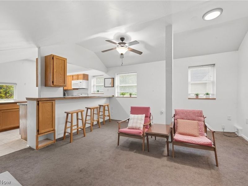 216 N Main Street , Oberlin, OH 44074 Photo 23