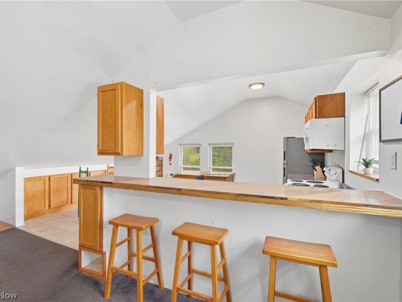 216 N Main Street , Oberlin, OH 44074 Photo 26