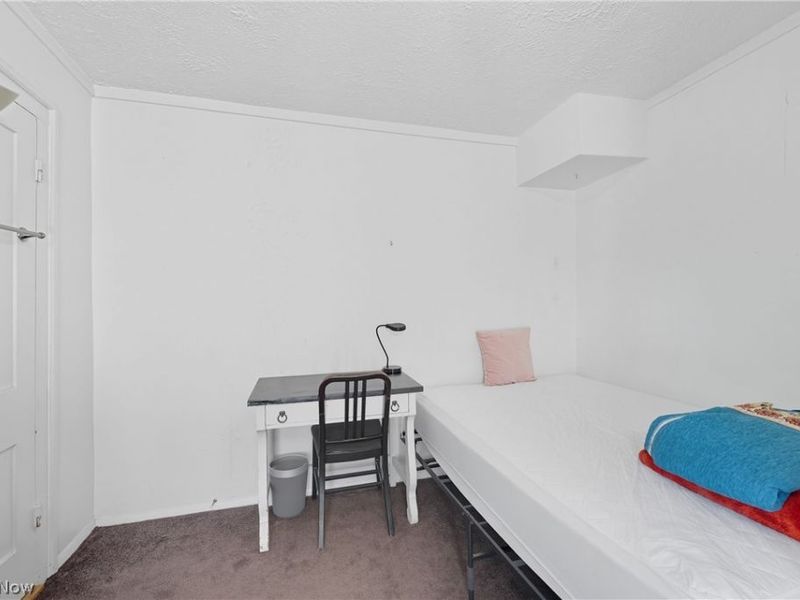 216 N Main Street , Oberlin, OH 44074 Photo 36