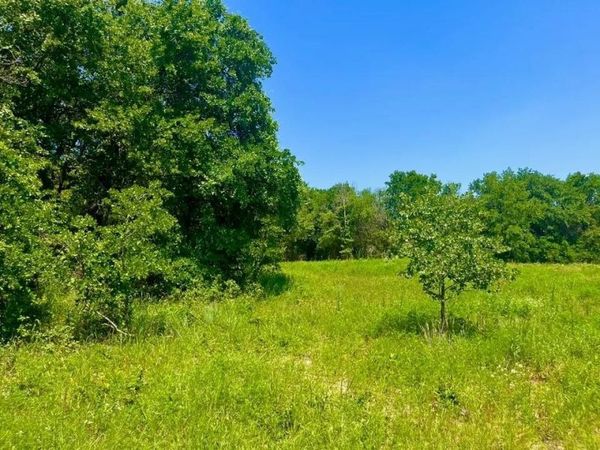 Lot 49 Wicklow Court , Poolville, TX 76487