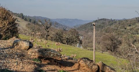 19040 Golden Way, Plymouth, CA 95669 Photo