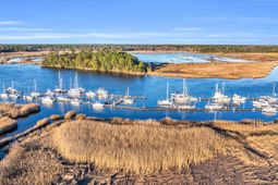 255 Madison Dr.  photo 4