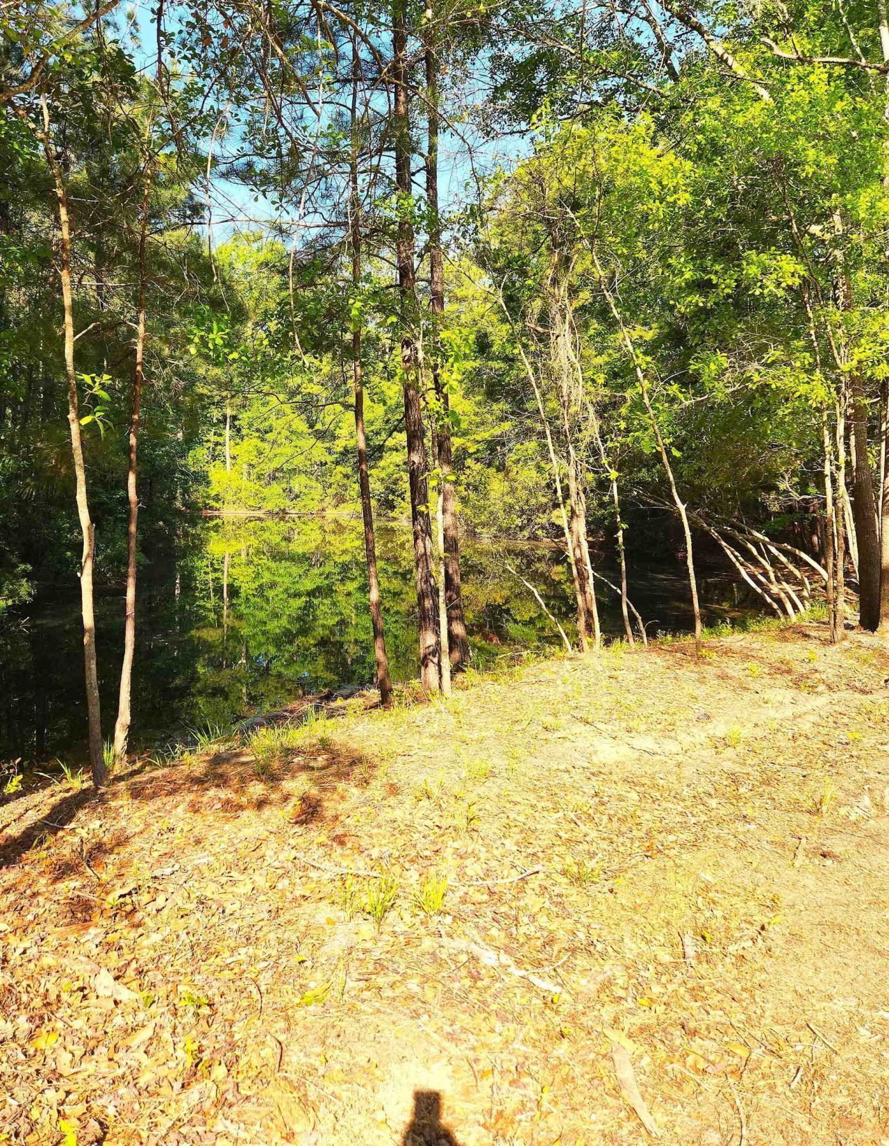 255 Madison Dr.  Photo 33