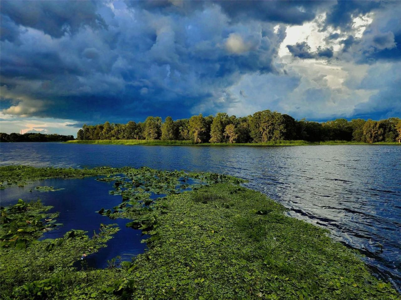 Please Call For Address, Tampa, FL 33610 Photo