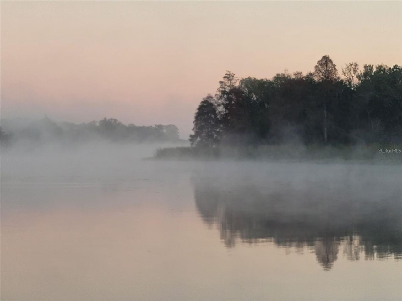 Please Call For Address, Tampa, FL 33610 Photo