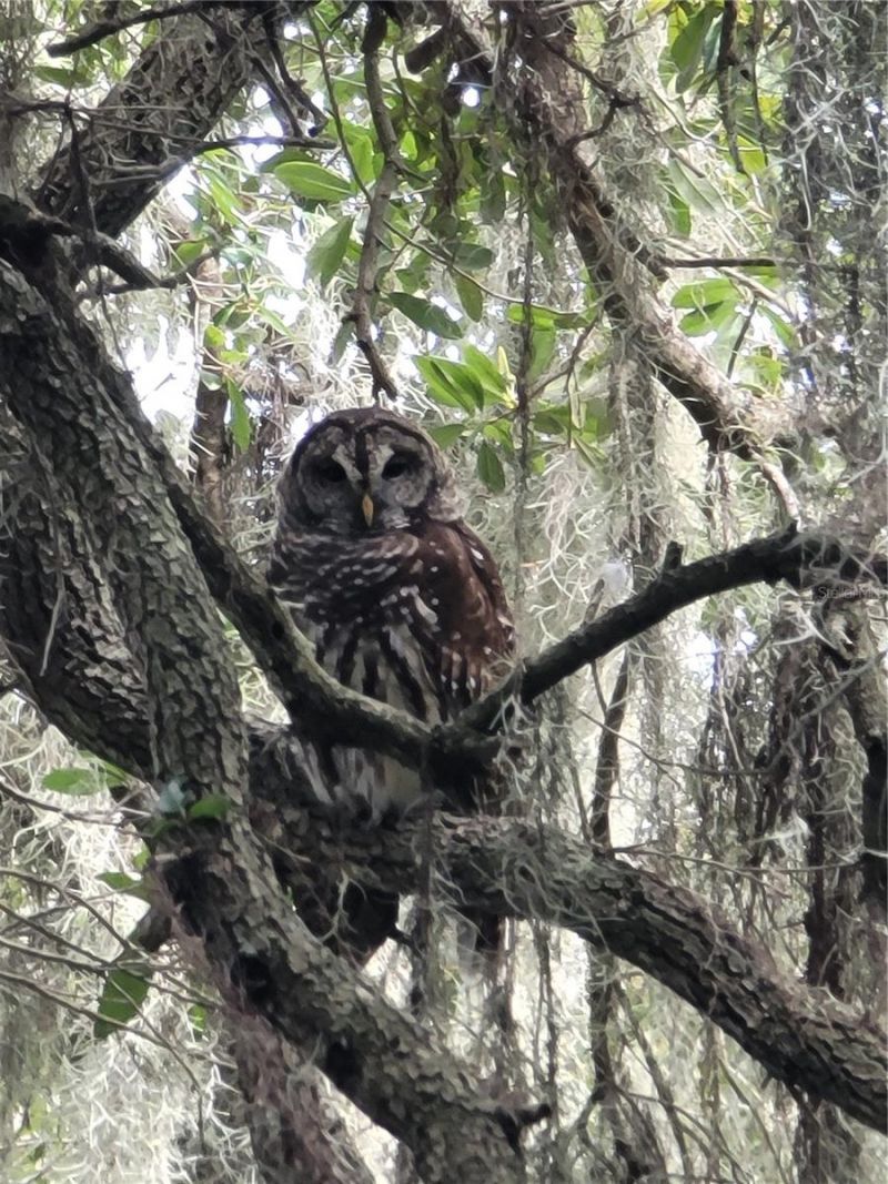 Please Call For Address, Tampa, FL 33610 Photo