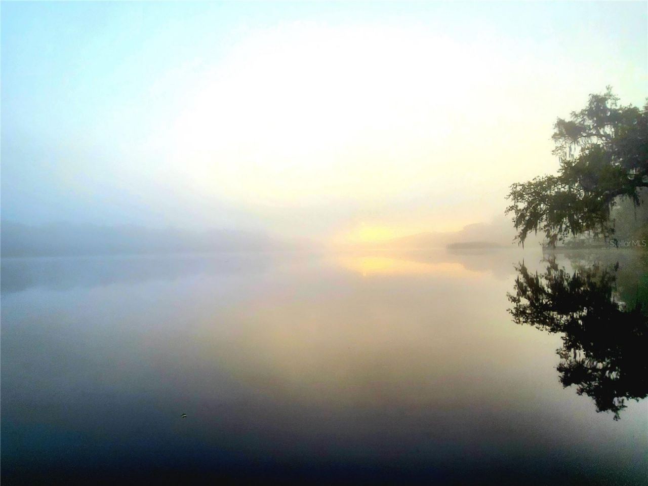 Please Call For Address, Tampa, FL 33610 Photo