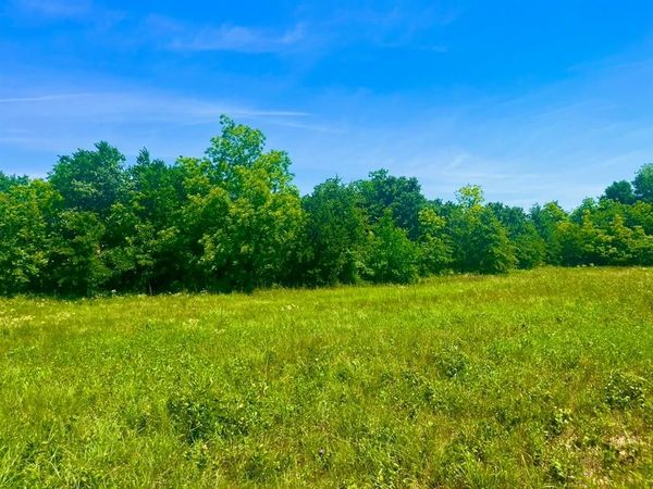Lot 103 Arlow Road , Poolville, TX 76487