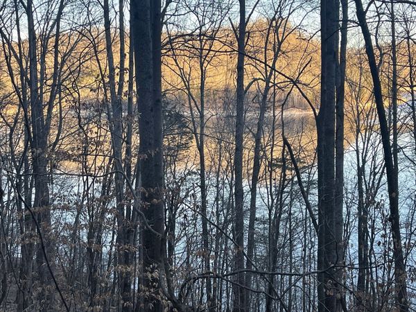 0 Back Bone Rd , Sparta, TN 38583