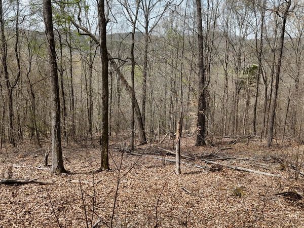 000 Geren Subdivision Lane , Decatur, TN 37322