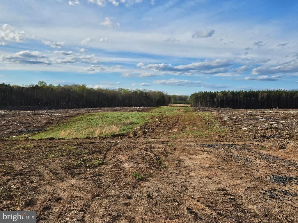 83.84 Ac S JAMES RIVER ROAD, BUCKINGHAM, VA 23921