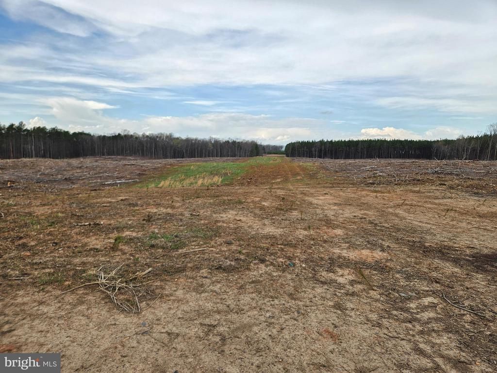 83.84 Ac S JAMES RIVER ROAD, BUCKINGHAM, VA 23921