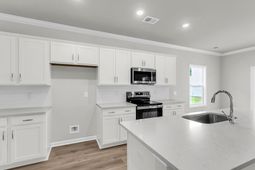 228 Central Creek Drive photo 4
