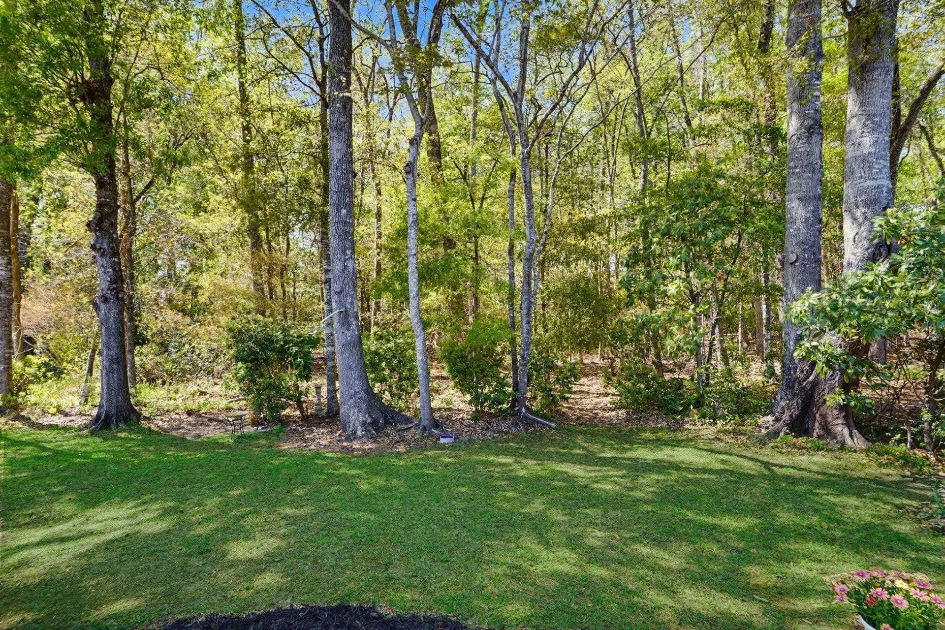 673 Bluebird Ln. Photo 28