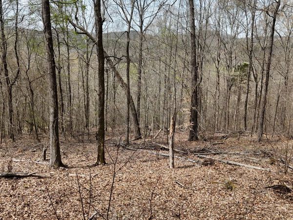 000 Geren Subd Lane, Decatur, TN 37322