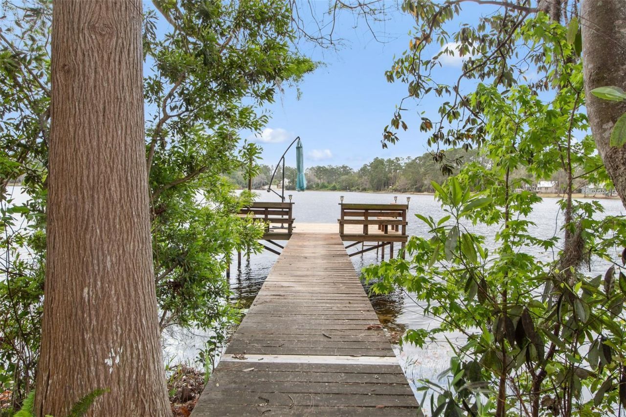 299 Riley Lake Drive, Hawthorne, FL 32640 Photo