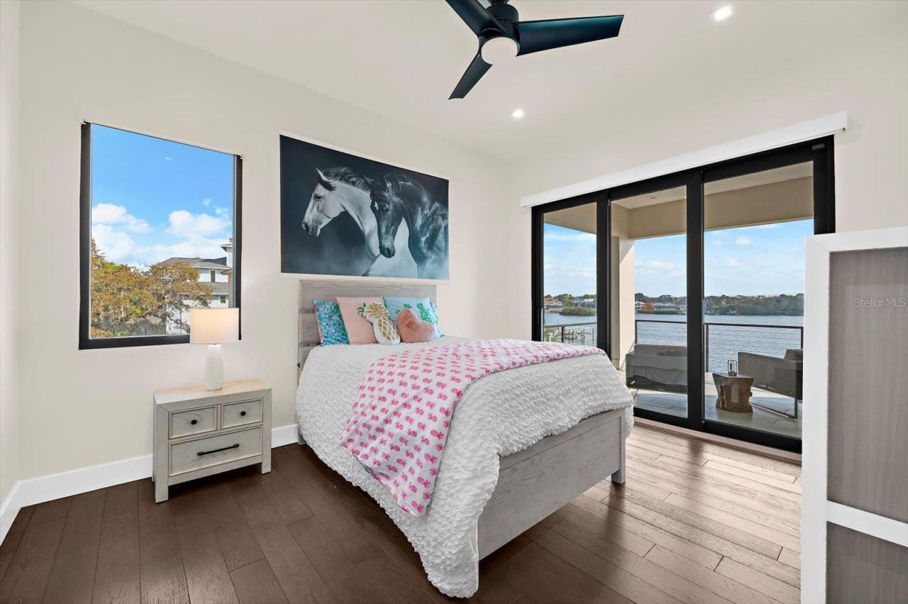 402 Hillsborough Street, Palm Harbor, FL 34683 Photo