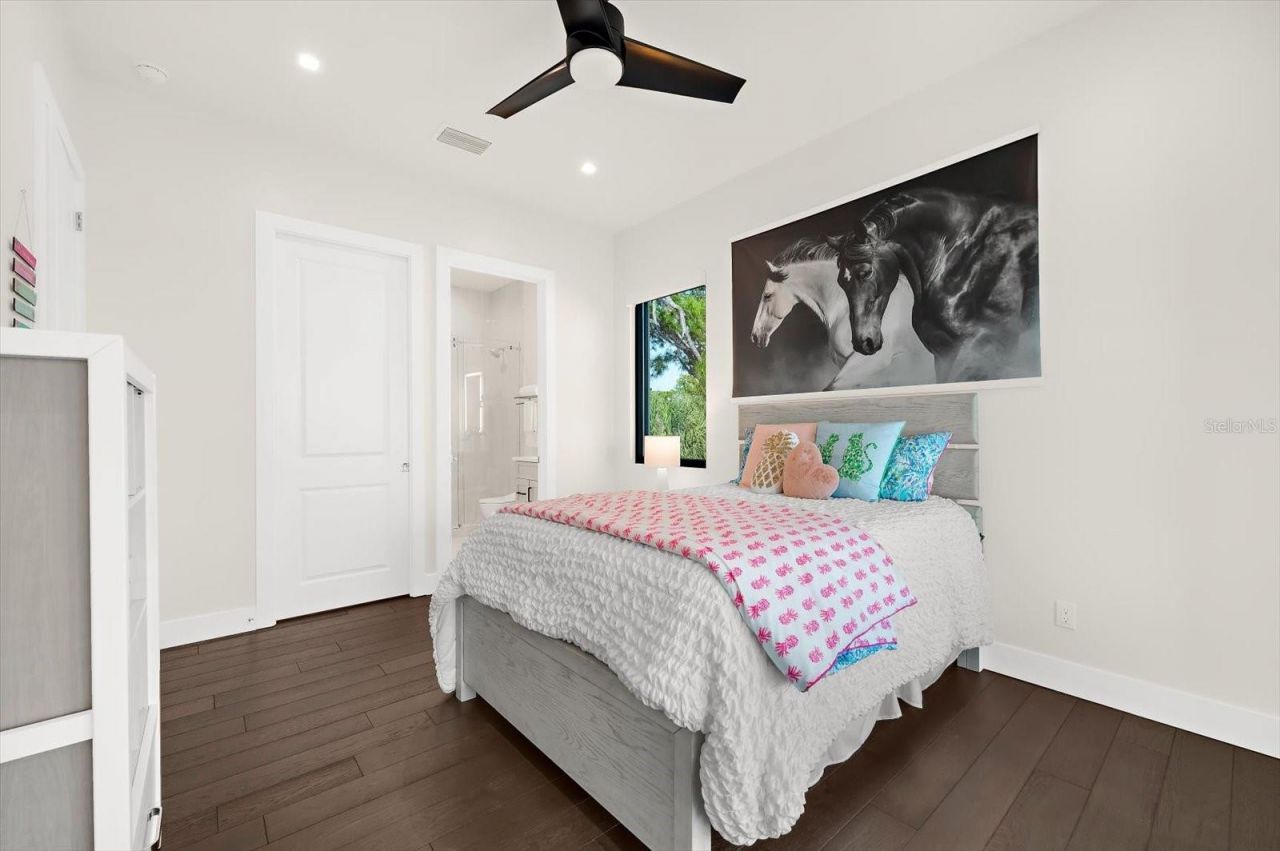 402 Hillsborough Street, Palm Harbor, FL 34683 Photo