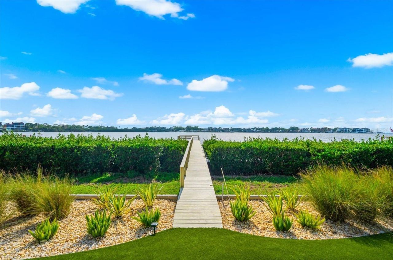 402 Hillsborough Street, Palm Harbor, FL 34683 Photo