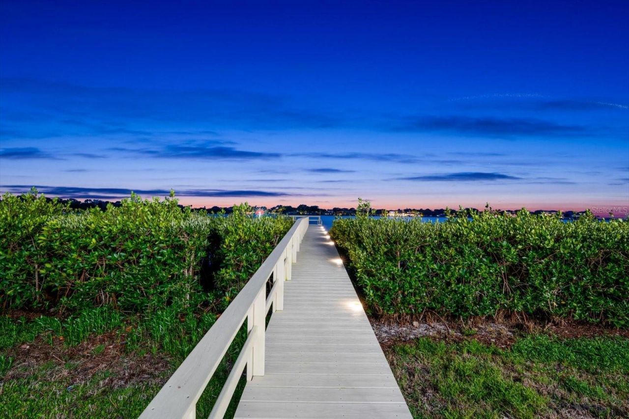 402 Hillsborough Street, Palm Harbor, FL 34683 Photo