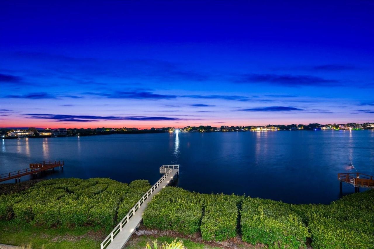 402 Hillsborough Street, Palm Harbor, FL 34683 Photo