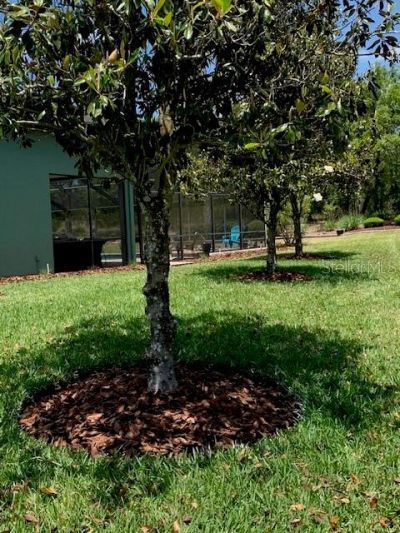 1 Mintwood Point, Homosassa, FL 34446 Photo