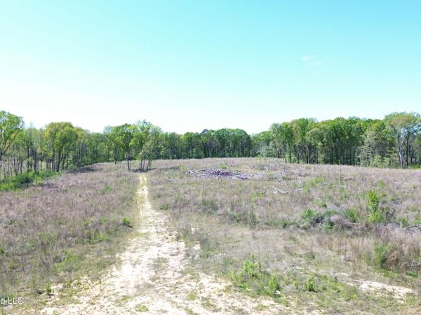 Pettey Road, Forest, MS 39074