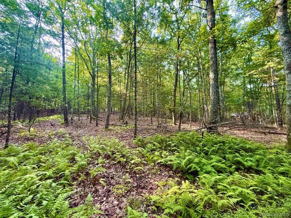 Marko Drive, Yulan, NY 12528