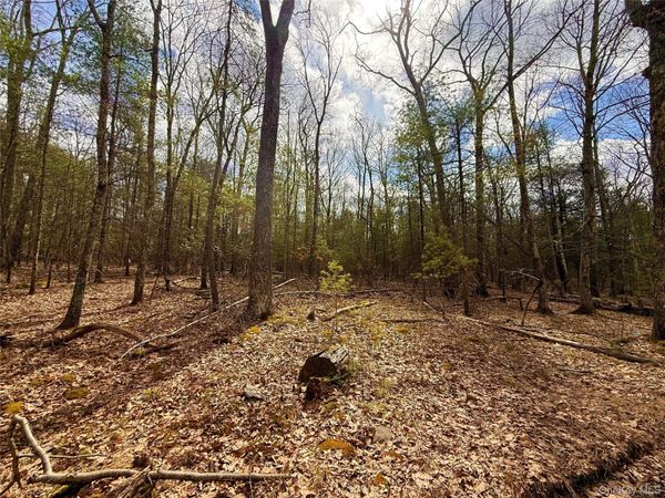 Marko Drive , Yulan, NY 12528