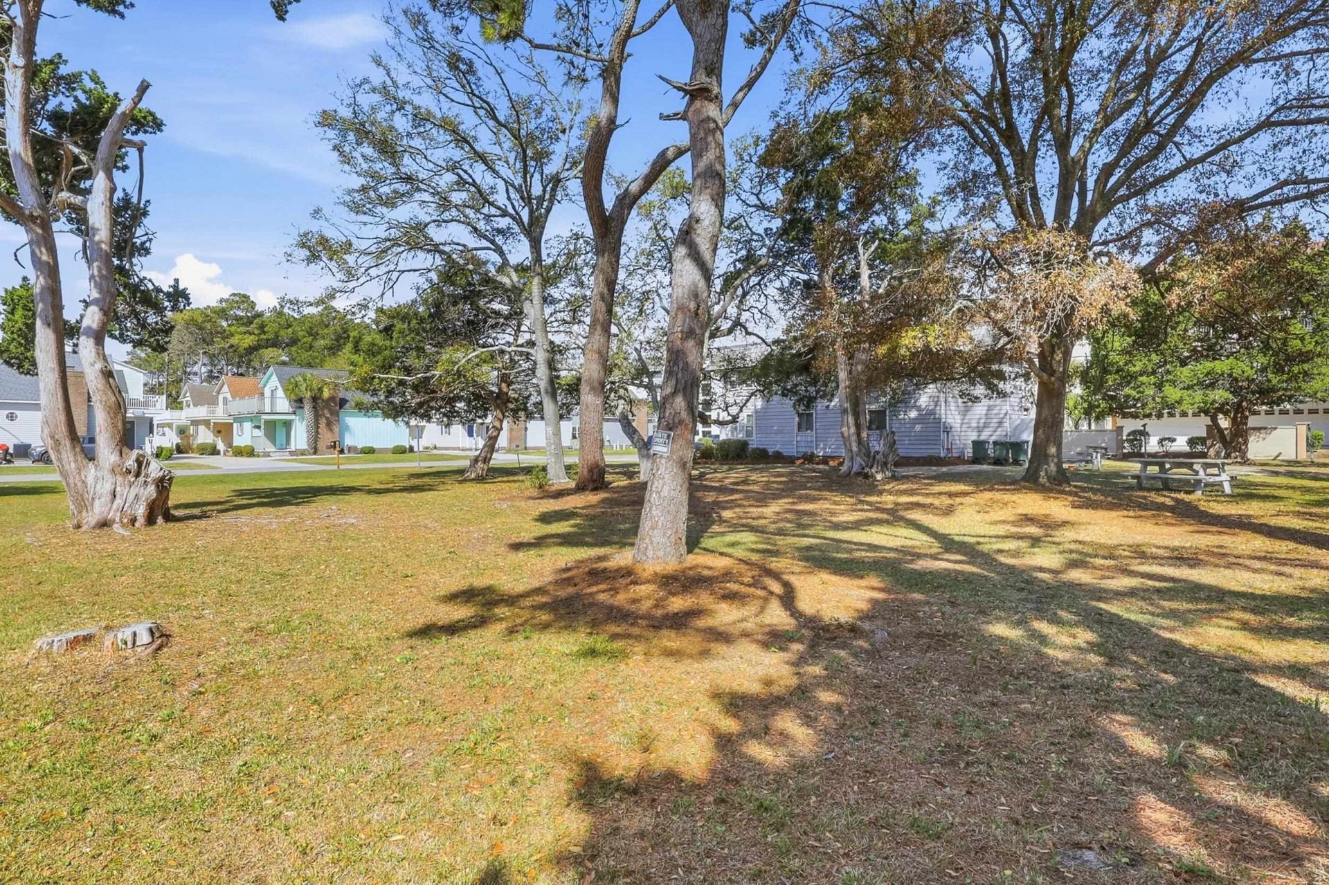 206 4th Ave. N  Photo 6