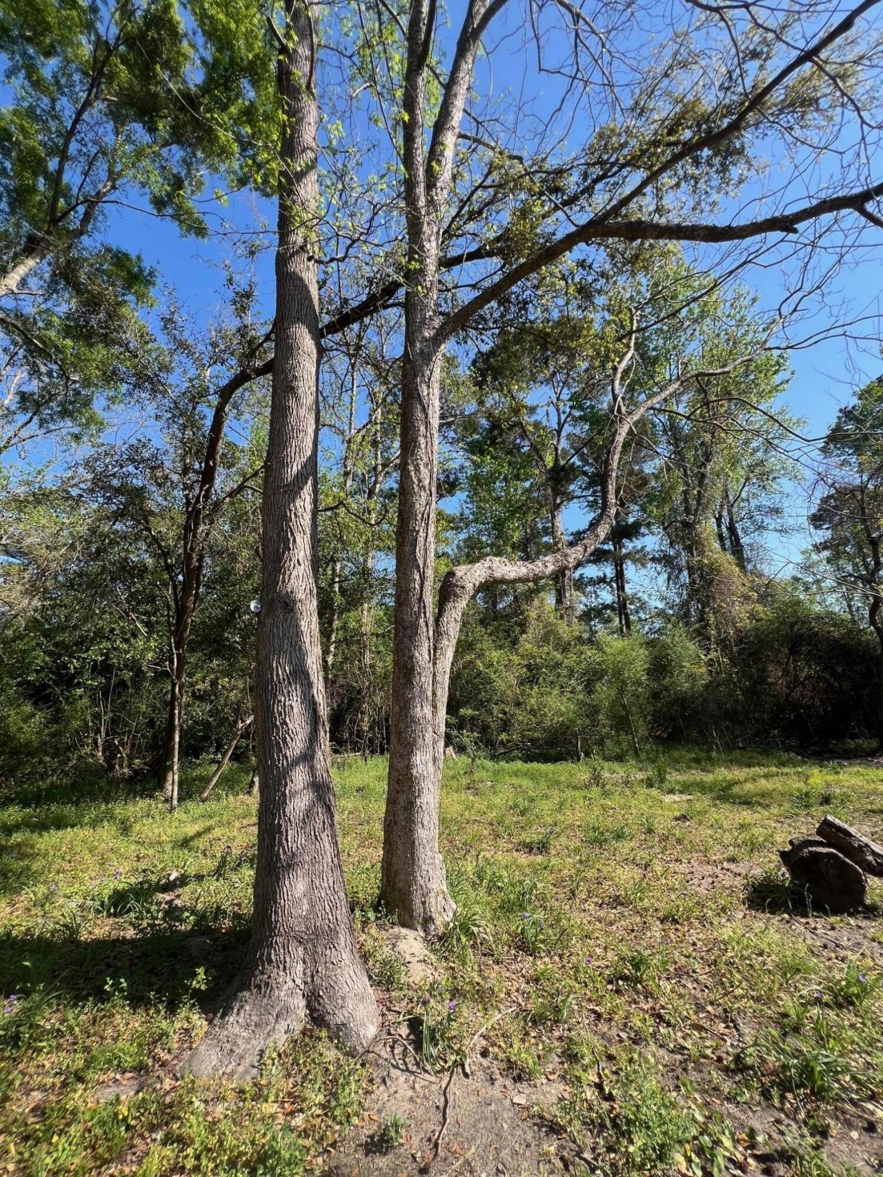 205 3rd Street Photo 16