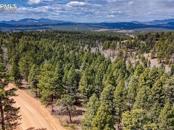 2151 N Mountain Estates Road, Florissant, CO 80816