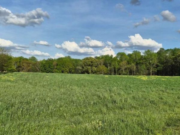 750 Poca Road, Danielsville, GA 30633