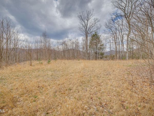 614 Tulip Poplar Trail, Butler, TN 37640